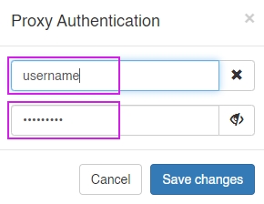 Proxy Authentication
