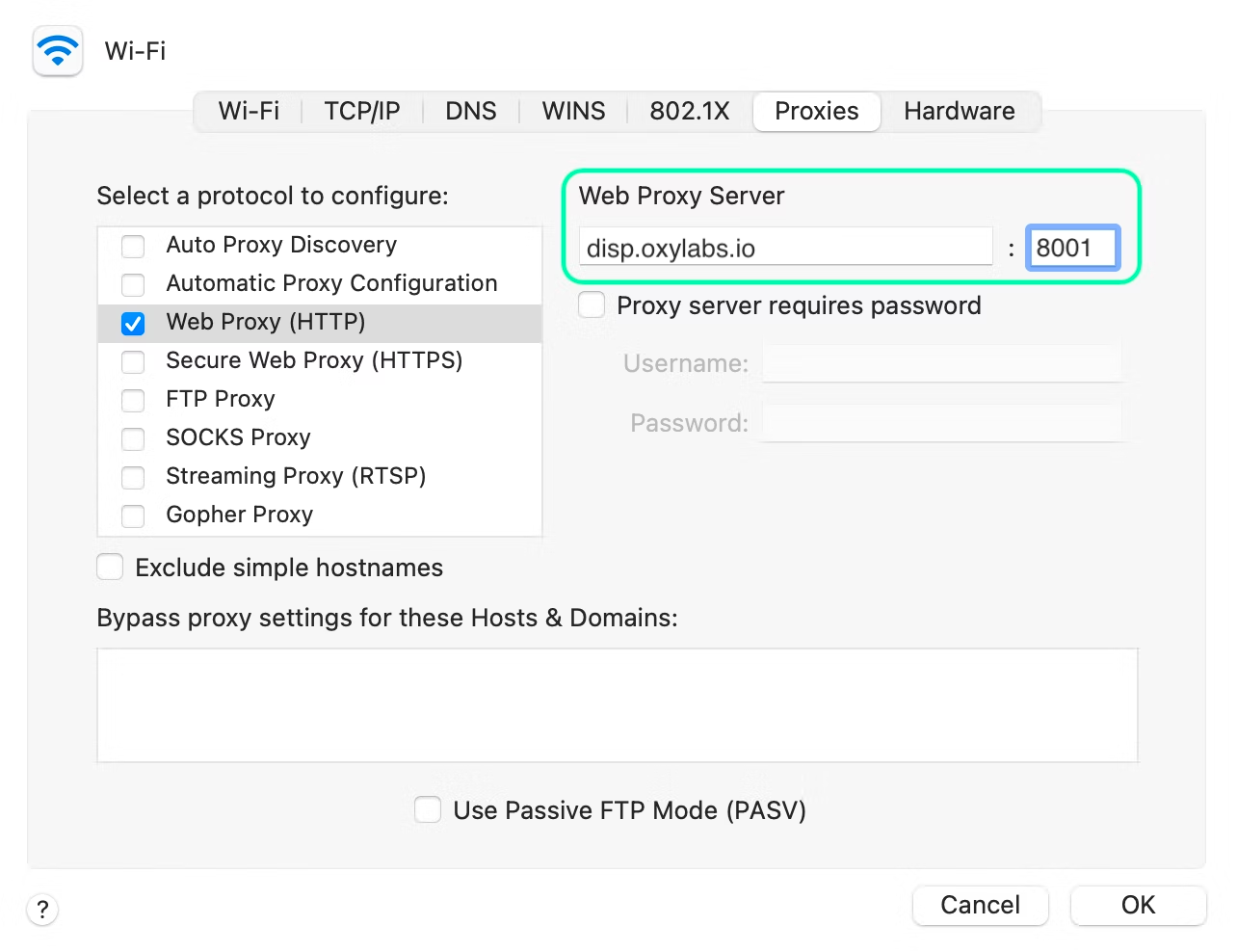 MacOS Web Proxy Server
