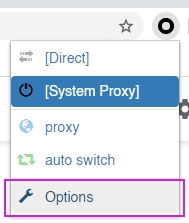 SwitchyOmega Options